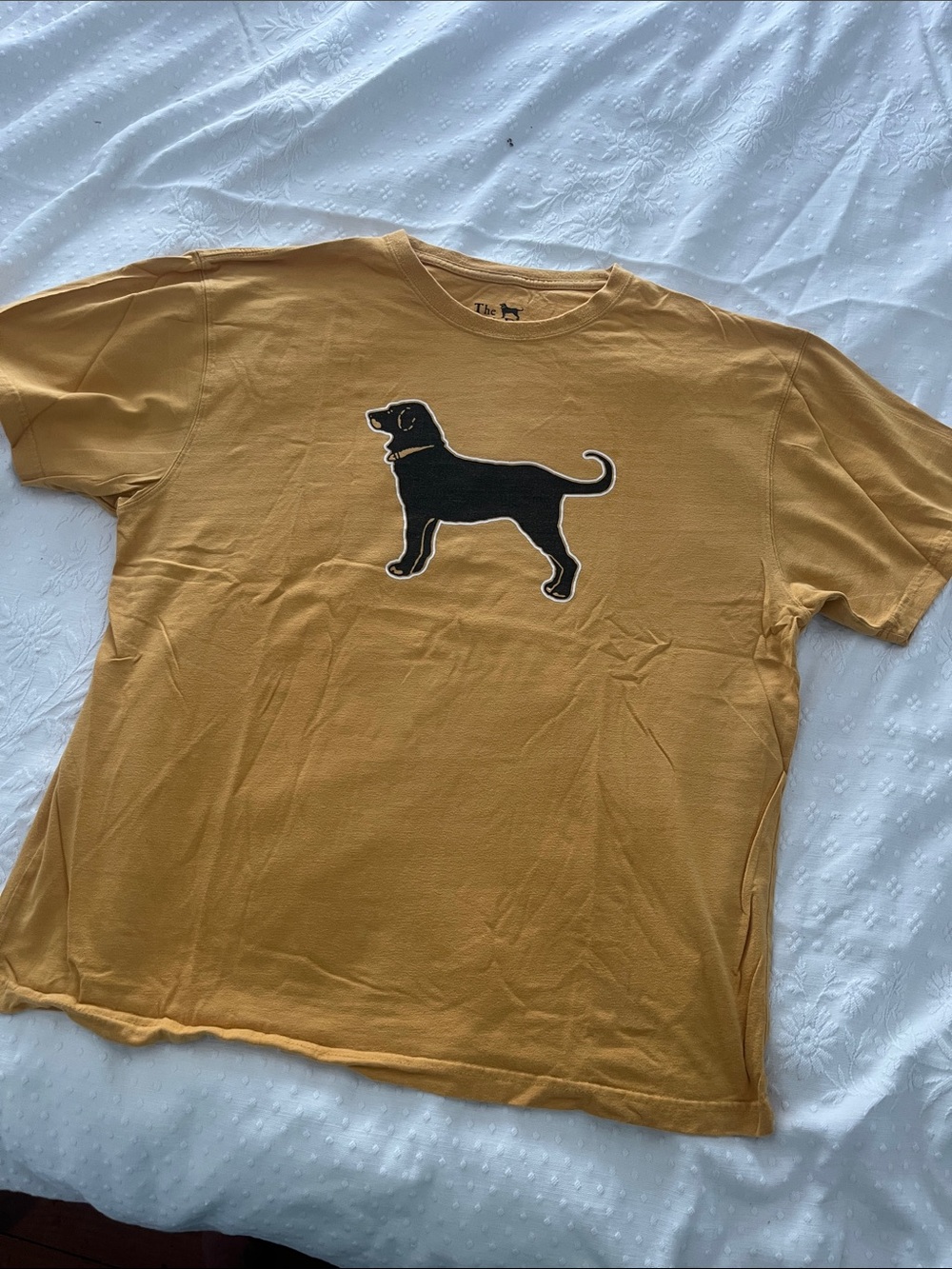 The Black Dog Yellow Boston ( Bruins) Graphic Tee